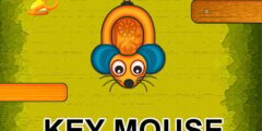 Mouse Key