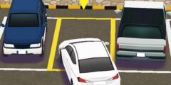 Real Car Parking 3D : Dr Parking